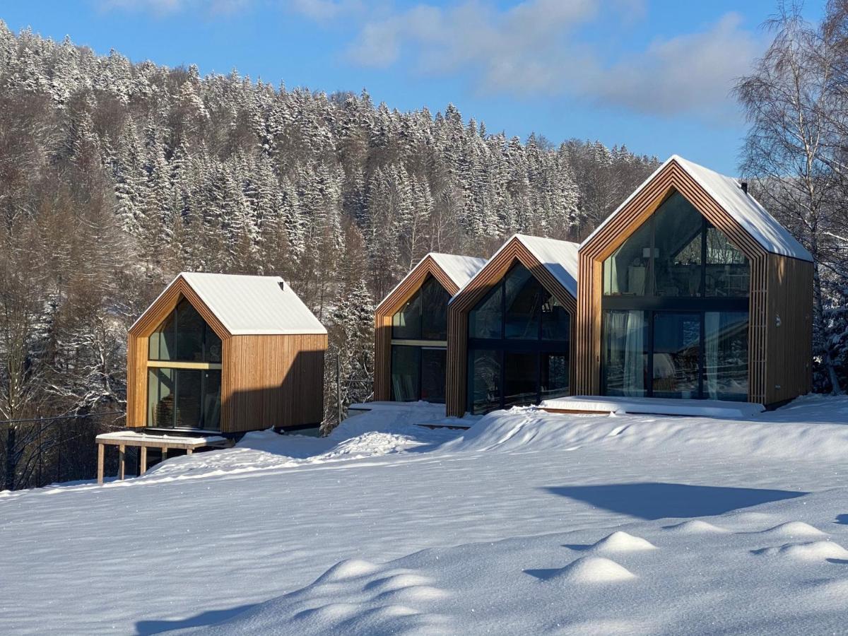 Domki Pod Lasem - Domek Brzozowy Stronie Slaskie Exterior photo