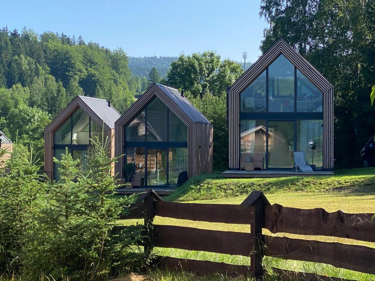Domki Pod Lasem - Domek Brzozowy Stronie Slaskie Exterior photo